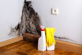 Best Mold Documentation for Insurance Claims  in Wolfhurst, OH